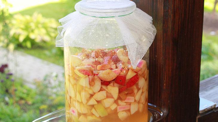 Les conditions de fermentation sont importantes