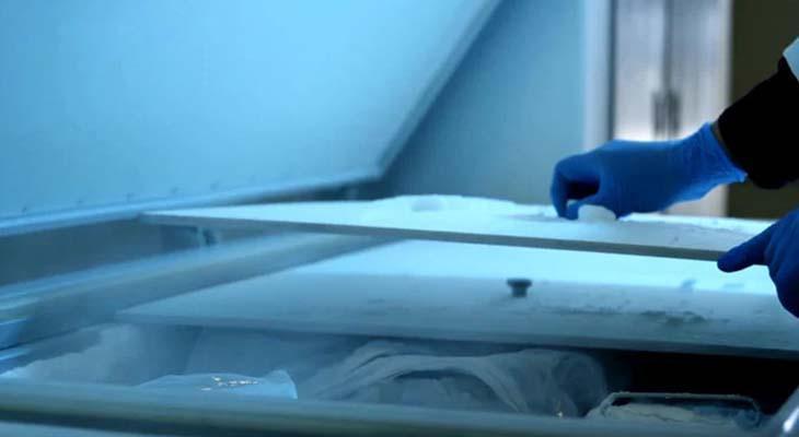 Tüyler ürperten itiraf 20 yıl sonra geldi! Ölen kızının cesedini dondurucuda saklamış
