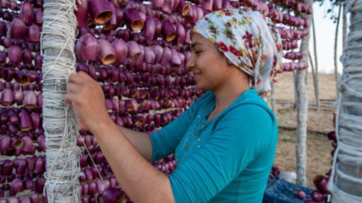 Küflenme derdine son Canan Karatay kurutulmuş biberi önerdi: En sağlıklısı