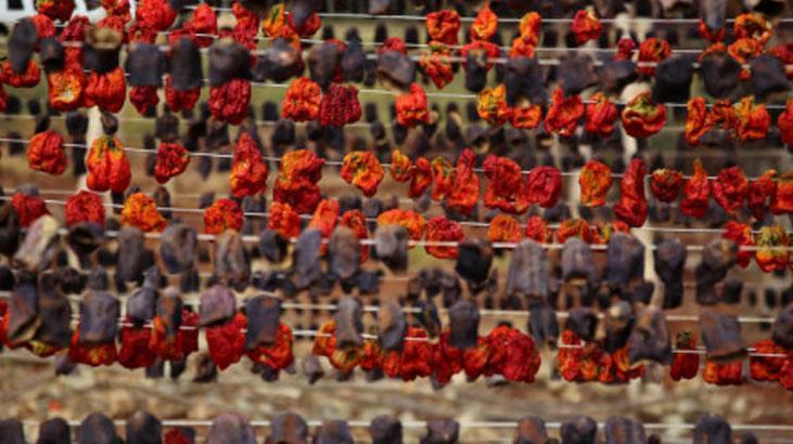 Küflenme derdine son Canan Karatay kurutulmuş biberi önerdi: En sağlıklısı