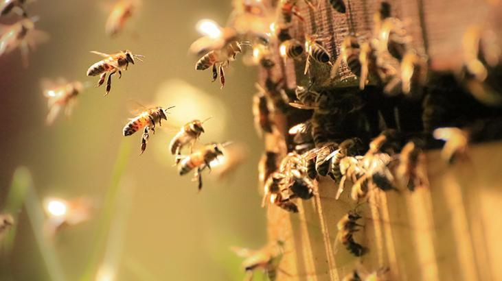 Tarım için süper kahramanlar