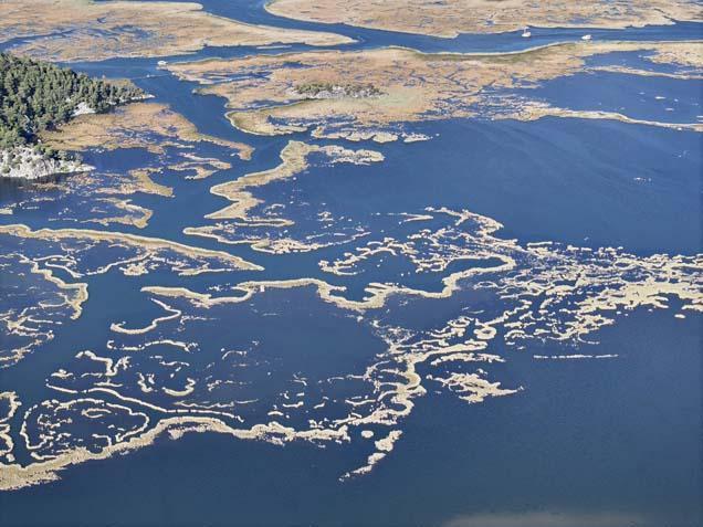 Dalyan Kanalı’nda Ekim büyüsü Labirenti andıran doğada sürprizlerle dolu bir yolculuk