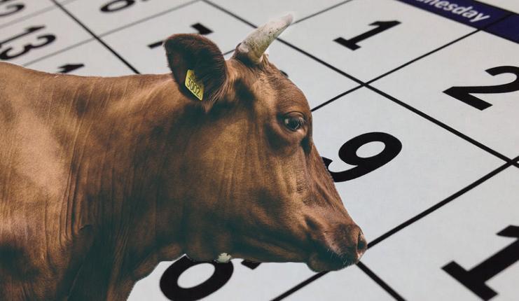 KURBAN BAYRAMI 2026 NE ZAMAN