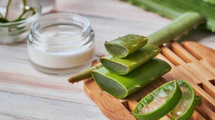 Evde spa etkisi Aloe verayı böyle karıştırınca nem bombası oluyor, mis gibi kokun Evde spa etkisi Aloe verayı böyle karıştırınca nem bombası oluyor, mis gibi kokun