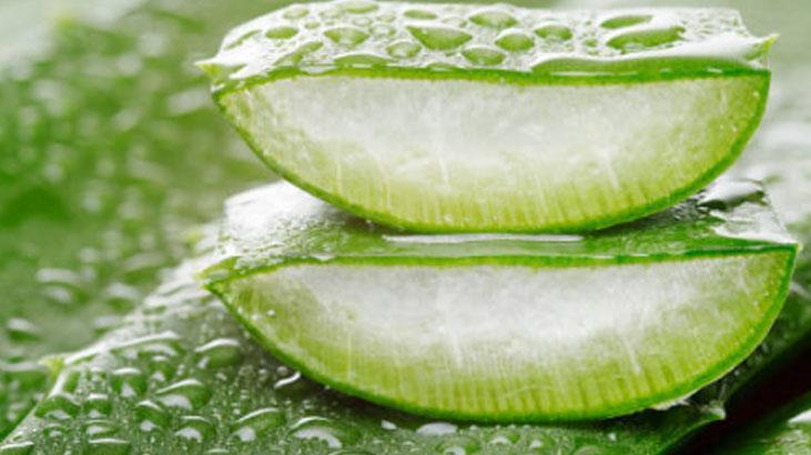 Evde spa etkisi Aloe verayı böyle karıştırınca nem bombası oluyor, mis gibi kokun Evde spa etkisi Aloe verayı böyle karıştırınca nem bombası oluyor, mis gibi kokun