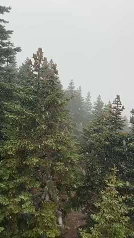 Türkiye beyaza bürünüyor İlk kar yağışı haberleri peş peşe geldi Türkiye beyaza bürünüyor İlk kar yağışı haberleri peş peşe geldi