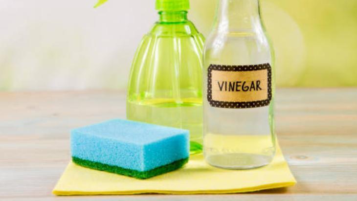 SİRKE İLE ARINDIRMA