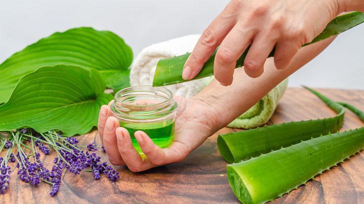 Her derde deva aloe vera Özünü çıkarmanın en basit yolu: Sarı jelsiz asla olmaz