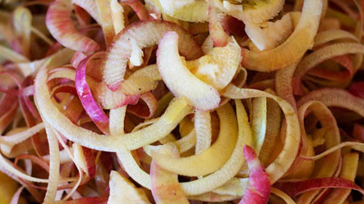 Sadece içi değil, meğer kabuğu da faydalıymış Atmadan önce bir kez daha düşünün