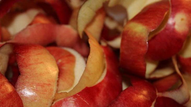 Sadece içi değil, meğer kabuğu da faydalıymış Atmadan önce bir kez daha düşünün