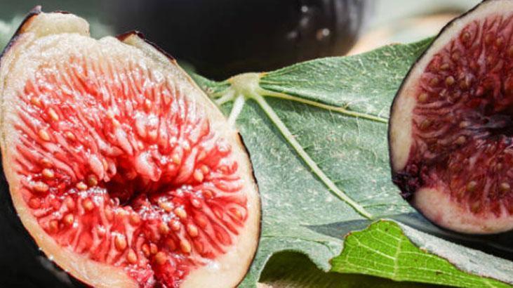 He who puts figs in milk does not know how to get sick. The bones will be like a castle, literally like medicine.