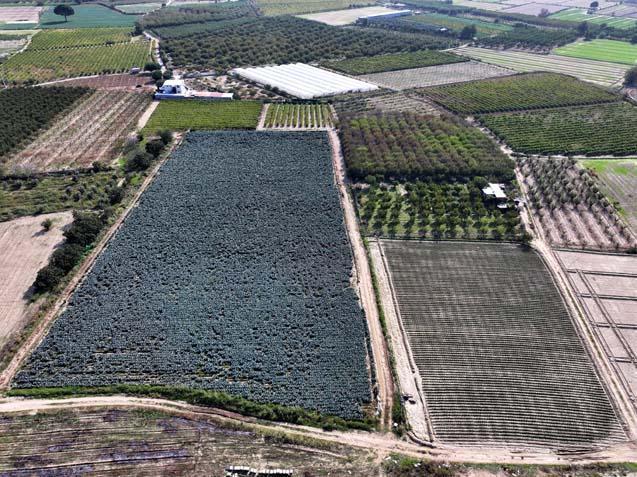 Ege’de yağmur 120 gün sonra çiftçiye nefes oldu 4 aylık susuzluk sona erdi