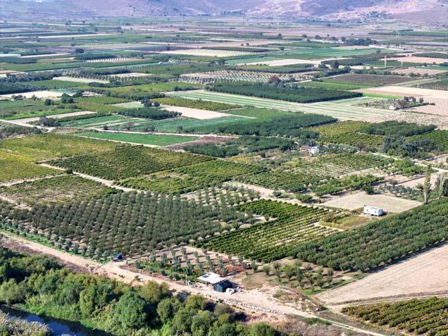 Ege’de yağmur 120 gün sonra çiftçiye nefes oldu 4 aylık susuzluk sona erdi