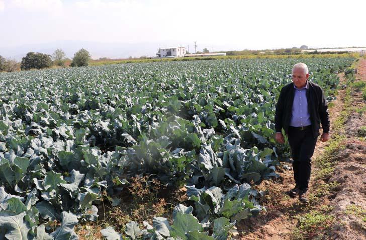 Ege’de yağmur 120 gün sonra çiftçiye nefes oldu 4 aylık susuzluk sona erdi