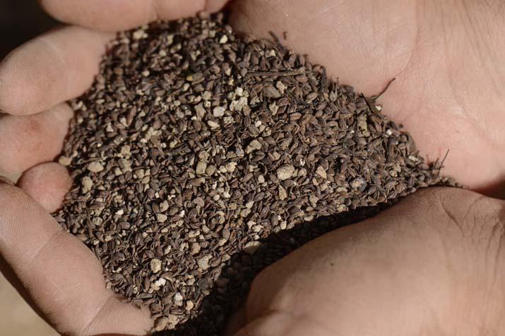 Tam 700 yıllık ‘Türkiyedeki kazılarda ilk defa bu kadar yoğun şekilde karşılaştık’