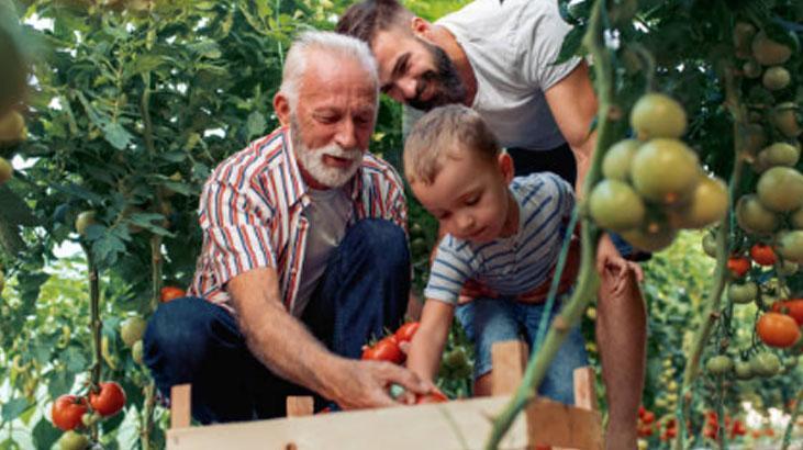 Ne ilaç ne gübre 40 yıllık bahçıvan küçücük folyoyla hasadı 5 katına çıkardı