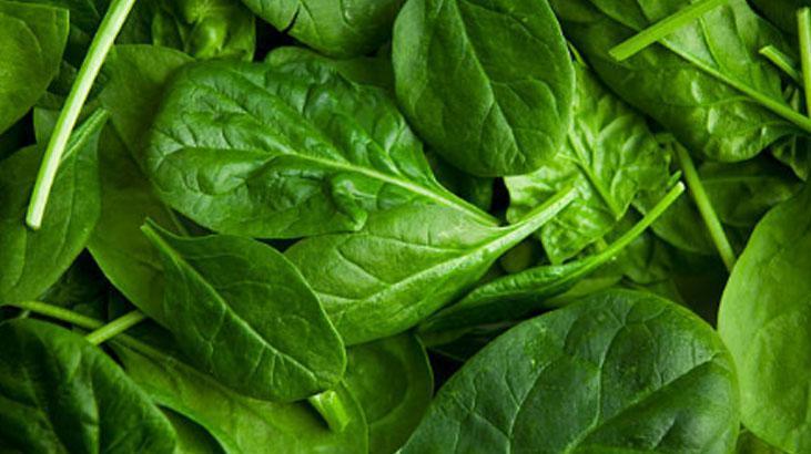 Ispanak sevmeyenleri bile mest eden tarif 3 dakikada hazır, sapı da ziyan olmuyor