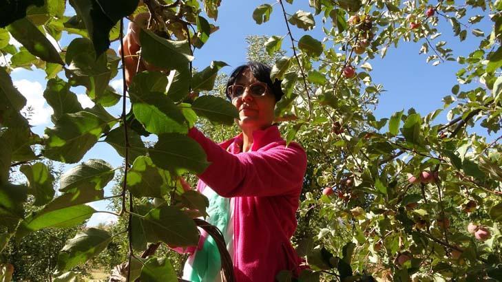 Türkiyedeki stratejik nokta deyip işe başladı: 10 milyon dolar para gelecek Türkiyedeki stratejik nokta deyip işe başladı: 10 milyon dolar para gelecek