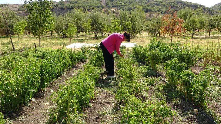 Türkiyedeki stratejik nokta deyip işe başladı: 10 milyon dolar para gelecek Türkiyedeki stratejik nokta deyip işe başladı: 10 milyon dolar para gelecek