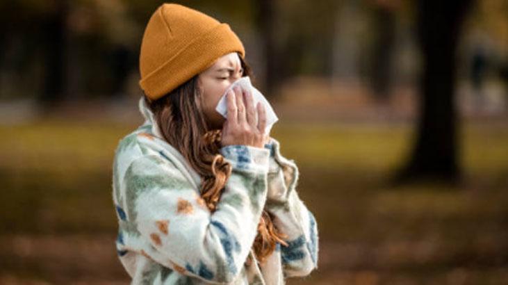 Bağışıklığı beton gibi güçlendiren süper besin Bir tutamı yeter, gücü kovandan geliyor