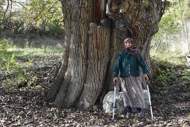 Dededen toruna 11 asırlık miras Duyan görmek için geliyor