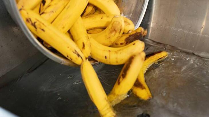 Sarı kabuğu var diye yıkamadan yemeyin Dışındaki bakteri içine böyle sızıyor