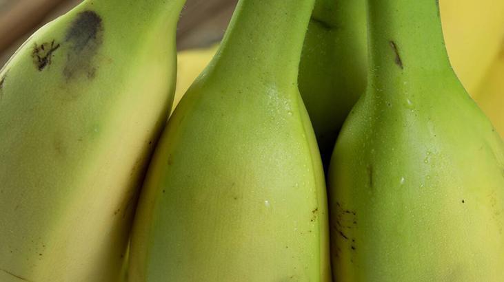 Sarı kabuğu var diye yıkamadan yemeyin Dışındaki bakteri içine böyle sızıyor