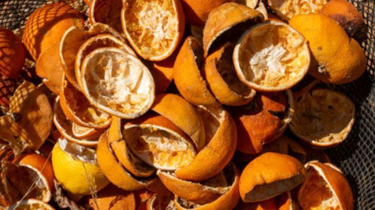 Çöpe atmak yerine lavabonun içine bırakın Portakal tüm pis havayı yutuyor Çöpe atmak yerine lavabonun içine bırakın Portakal tüm pis havayı yutuyor