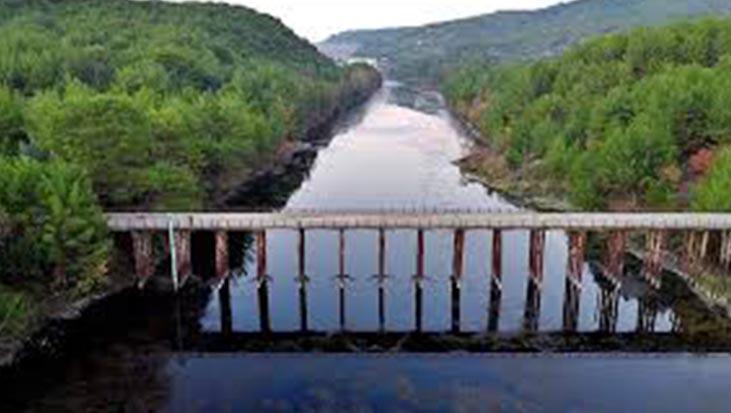 Adana'da balık ölümleri görülen Ceyhan Nehri'nde inceleme başlatıldı