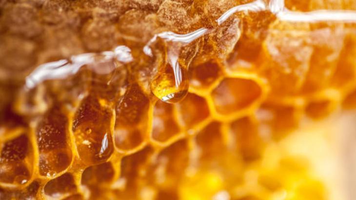 Petek balı tülbentle süzme sırrı Tek damlası bile ziyan olmuyor Petek balı tülbentle süzme sırrı Tek damlası bile ziyan olmuyor