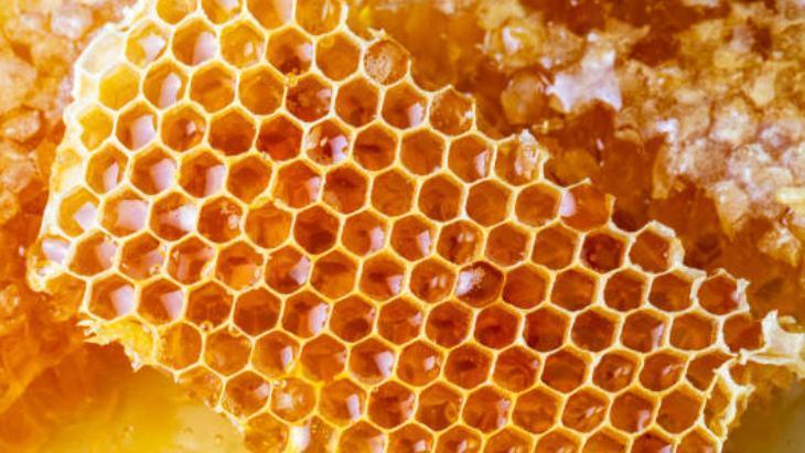 Petek balı tülbentle süzme sırrı Tek damlası bile ziyan olmuyor Petek balı tülbentle süzme sırrı Tek damlası bile ziyan olmuyor