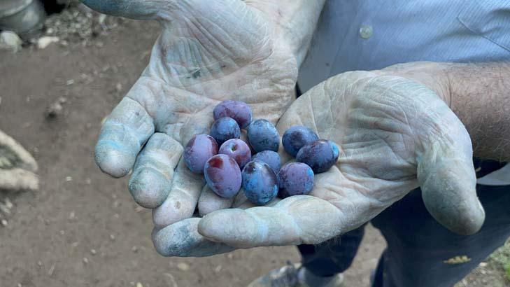 3 bin yıllık ayrıcalık Evinin penceresinden izleyerek güne başlıyor