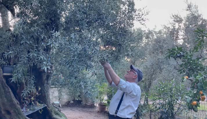 3 bin yıllık ayrıcalık Evinin penceresinden izleyerek güne başlıyor