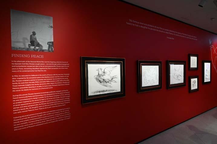 Picasso’nun son dönemi: Londra’da 130’dan fazla eserle sanat mirası keşfedilecek