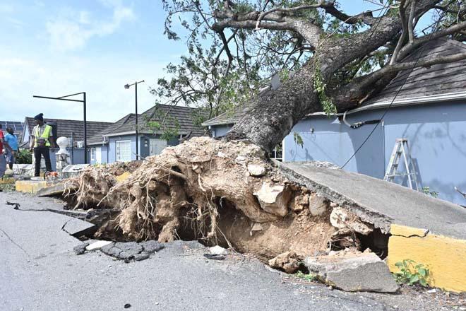 Karayipleri vuran Melissa Kasırgasında bilanço ağırlaşıyor İşte bölgeden görüntüler