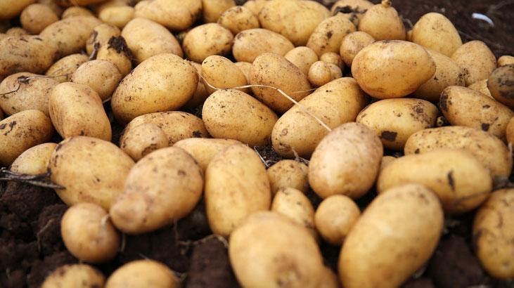 Ticaret Bakanlığı'ndan patates fiyatlarına ilişkin açıklama