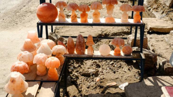 Handy, 4,5G, Bildschirmstrahlung… Dieses Lebensmittel sollte auf jedem Tisch stehen: Es gleicht die Schäden aus.