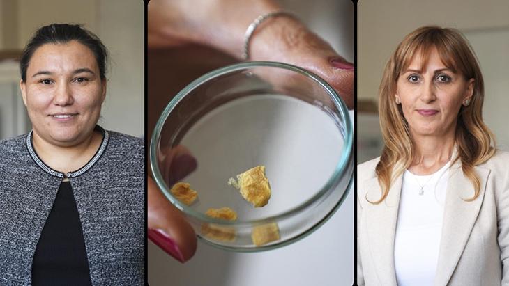 YÜKSEK VERİMLİ VE SAF