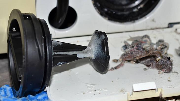 Bazı makineler daha çok nem tutuyor Düzenli bakımdan gelen ferahlık