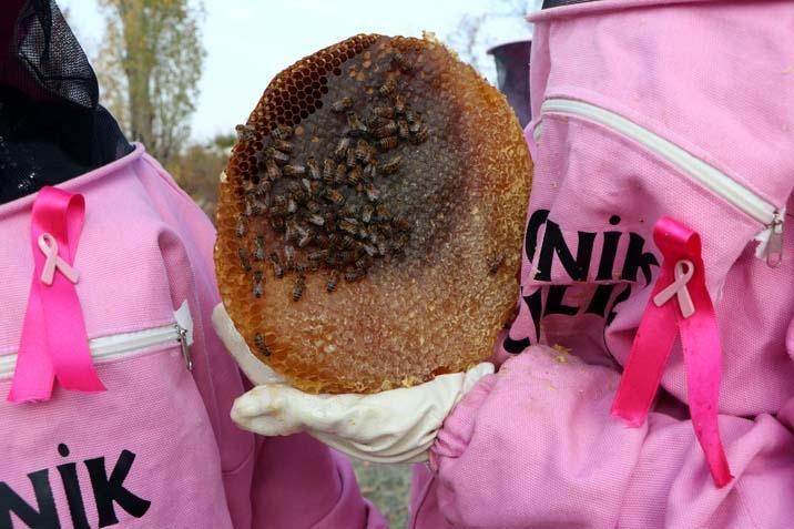 Van’da pembe kıyafetli kadın arıcılar Hem bal üretiyorlar hem de farkındalık