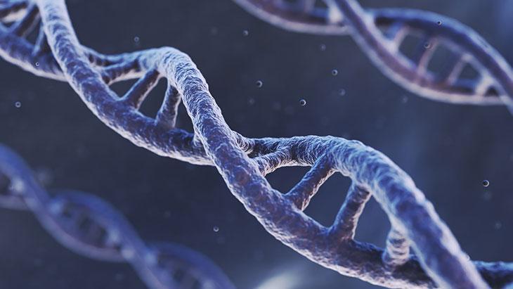 İŞTE UZUN YAŞAM GENLERİ