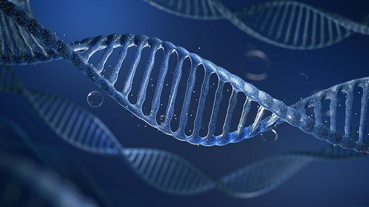 8 HAFTADA 4,6 YIL GENÇLEŞMEK MÜMKÜN MÜ