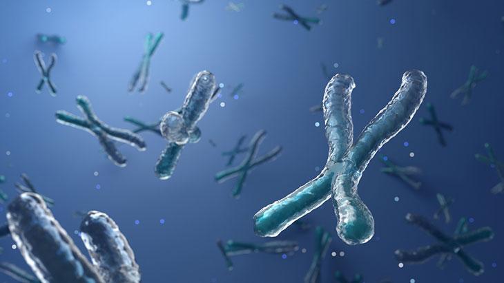 YAŞLANMAYI GECİKTİRMEYİ HEDEFLEYEN GENLER