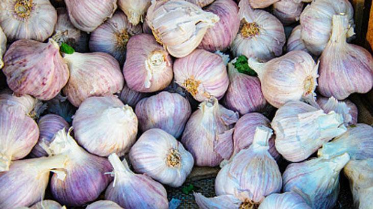 Kuru sarımsağın yeri balkon değil Rendeleyip dondurun, tazecik kalacak Kuru sarımsağın yeri balkon değil Rendeleyip dondurun, tazecik kalacak