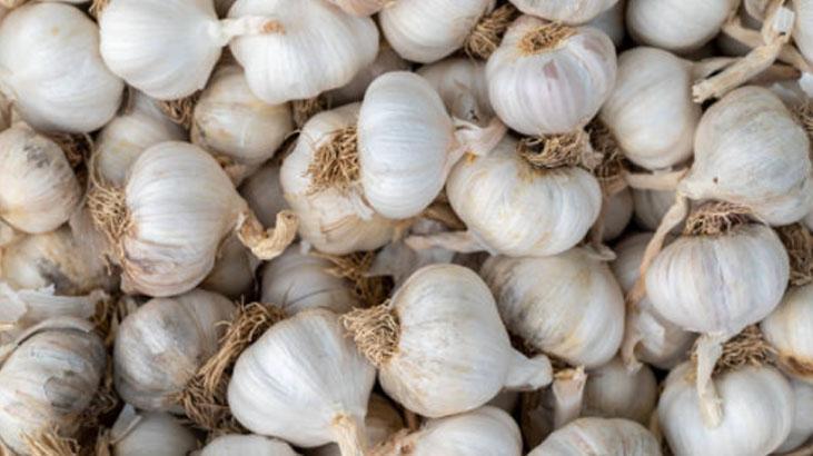 Kuru sarımsağın yeri balkon değil Rendeleyip dondurun, tazecik kalacak Kuru sarımsağın yeri balkon değil Rendeleyip dondurun, tazecik kalacak