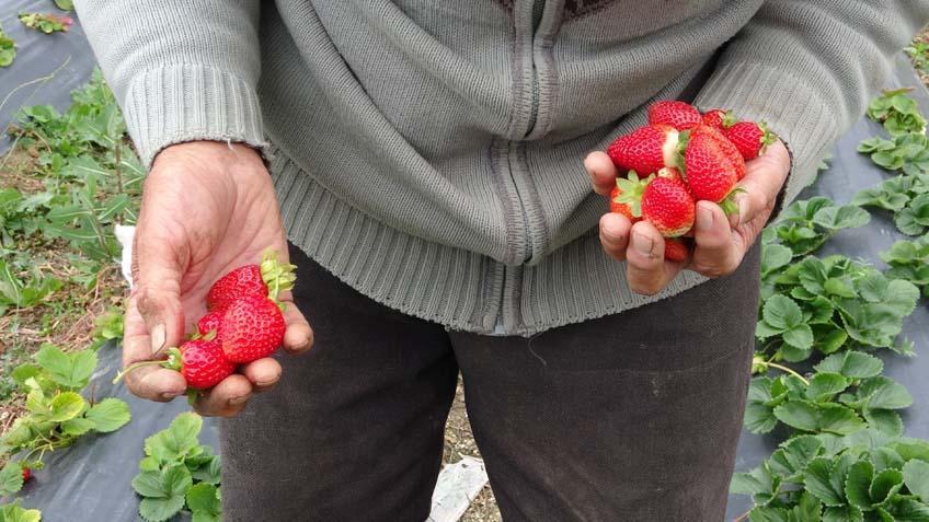 Sosyal medya 85 yaşındaki İbrahim dedeyi konuşuyor Yaptığı bu hareket kelimelerle anlatılmaz’