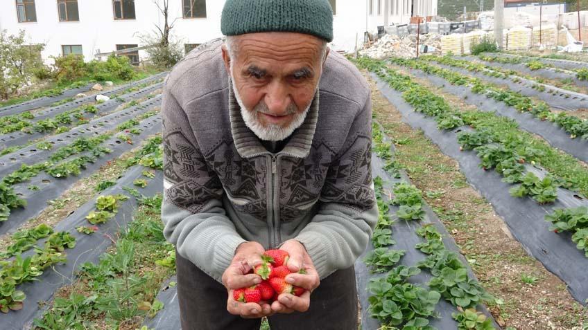 ALLAHIN BANA VERDİĞİ BU NİMETLERİ MİSAFİRLERİMLE PAYLAŞMAK İSTEDİM