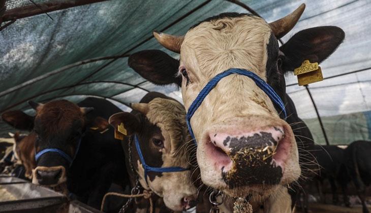 KURBAN BAYRAMI 2026 NE ZAMAN