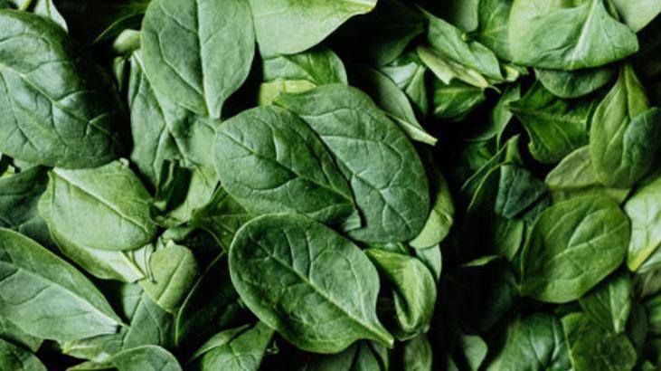 Ispanaktaki kum ve çamuru yok eden şaşırtıcı sır Sadece 1 kaşık yetiyor