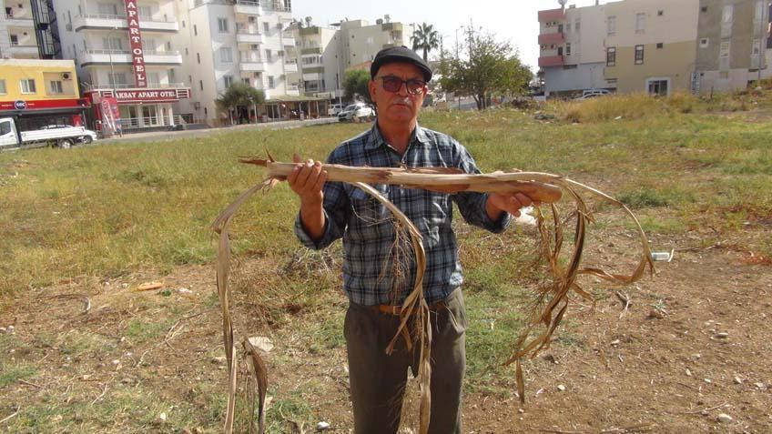 Bilim kurgu gibi Mühendislerin yapamadığını o telefon ile yapıyor: ‘Yeteneğimi, 25 yıl önce fark ettim’